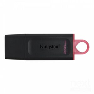 Kingston DataTraveler Exodia Chiavetta 256GB USB-A 3.2 Gen 1 - immagine 1