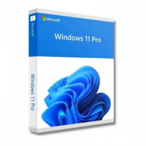 Microsoft Windows 11 Pro 64bit OEM Italiano FQC-10538 - immagine 1